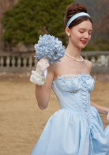 Cinderella Dress