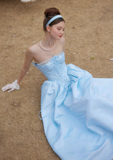 Cinderella Dress