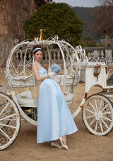 Cinderella Dress