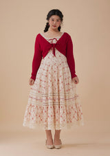 Curve & Plus Red Garnet Corset Dress