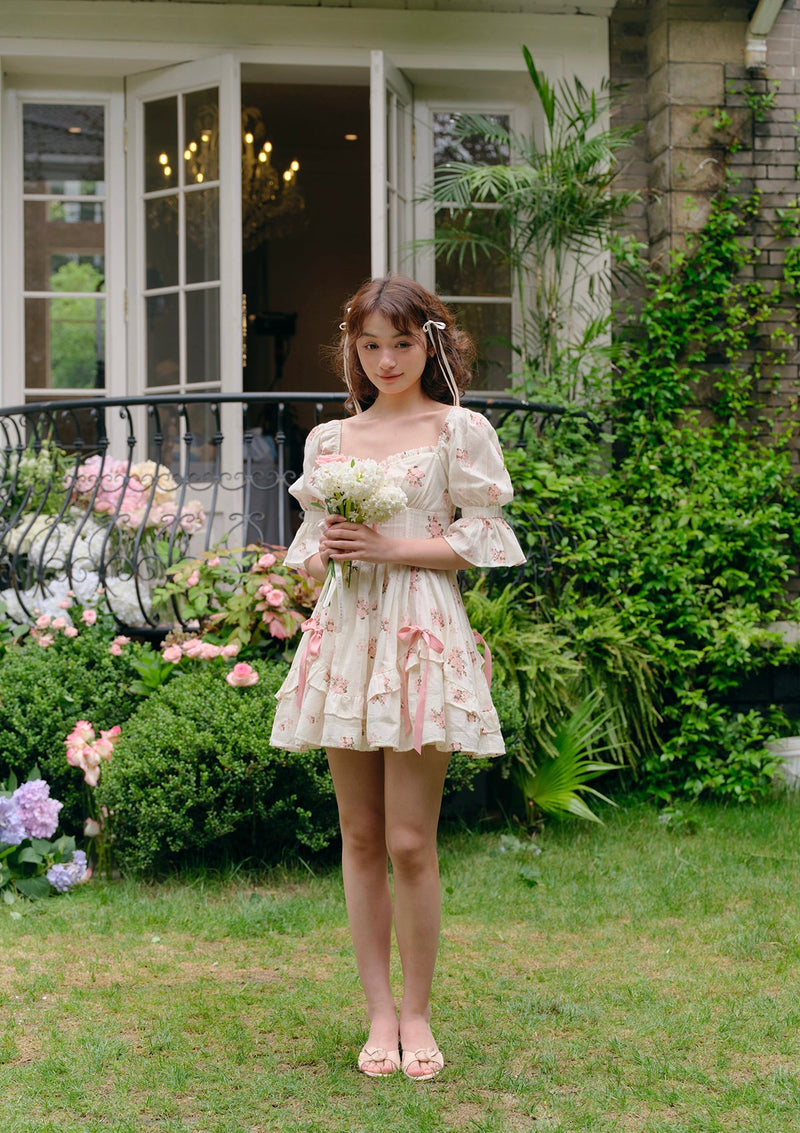 Rose's Smile Corset Dress (Short)
